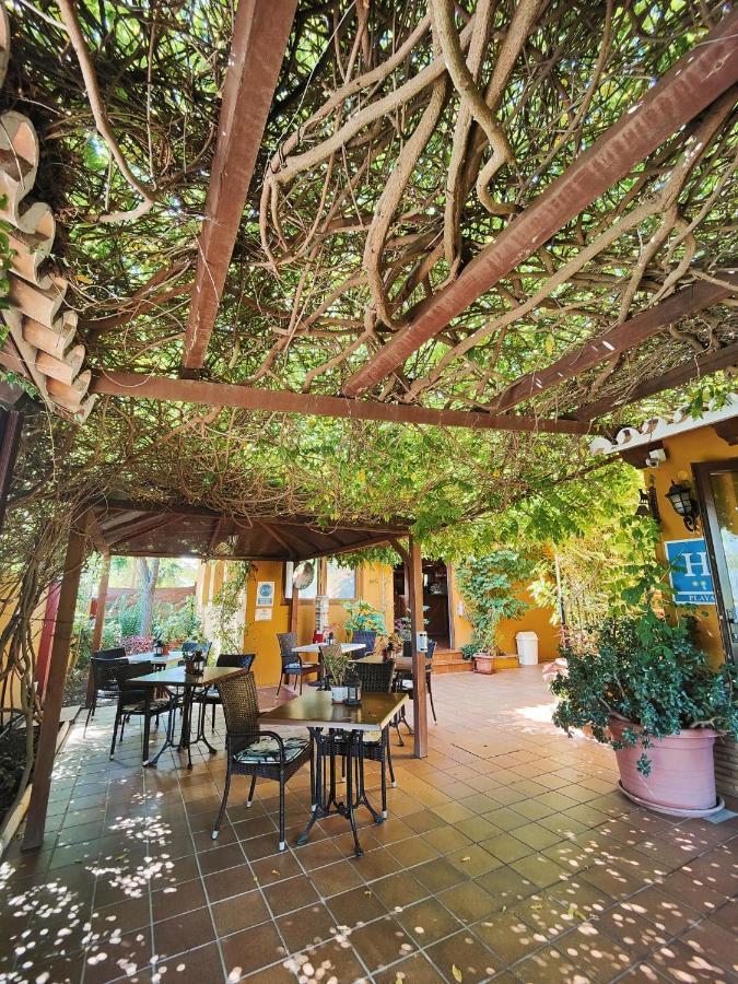 מטלסקנס Hotel Donana Blues מראה חיצוני תמונה